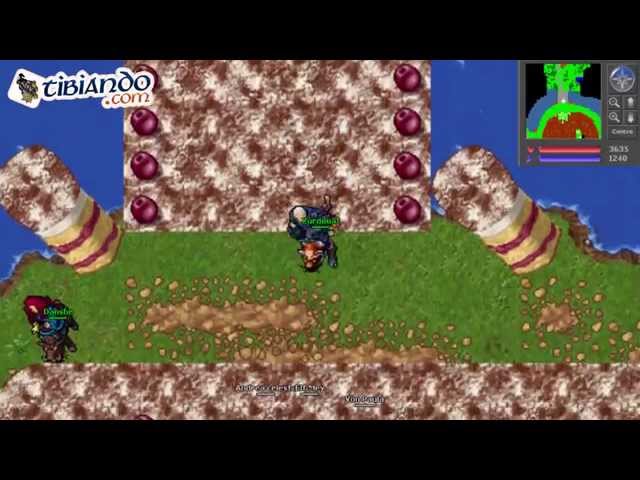 Tibia: A Piece of Cake Event - February 21-26 What is it?