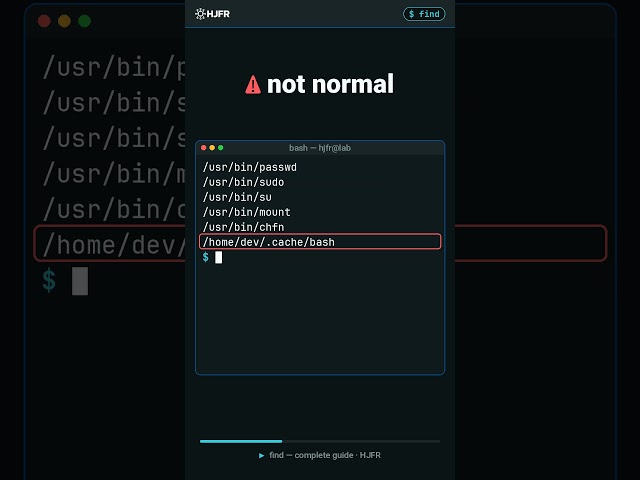These files run as root, no matter who starts them 🔍 #linux #shorts