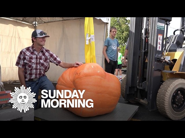 Good gourd! A visit to the pumpkin capital of the world