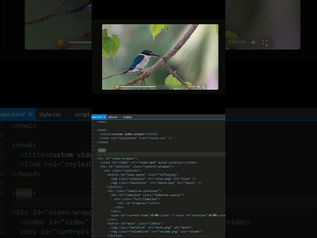 Responsive custom video player made with pure html css and javascript #shorts