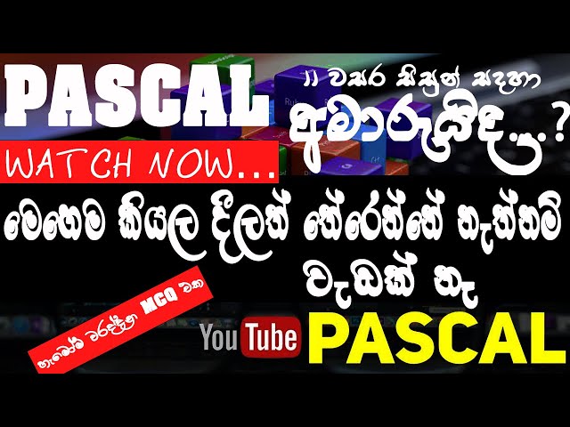PASCAL Lesson | ICT | පැස්කල් තේරෙන සිං‌හලෙන් ‍| පැස්කල් | 2021 OL | ‌ලේසියෙන්ම Pascal ඉ‌ගෙන ගන්න |