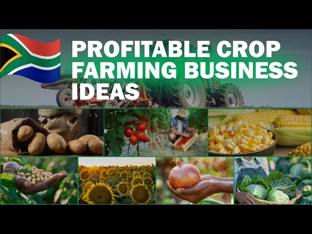 Top 7 Most Profitable Crop Farming Business Ideas in South Africa