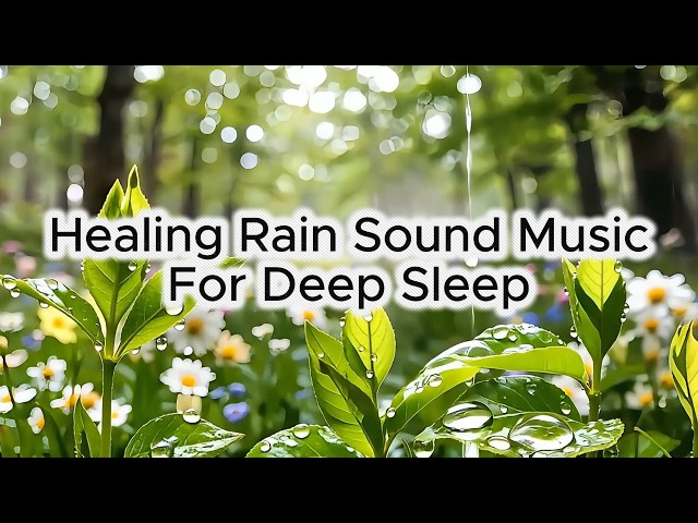 Spring Rain on Forest Leaves 🌿🌧 Relaxing Rain Sounds for Deep Sleep #sleepmusic #rain