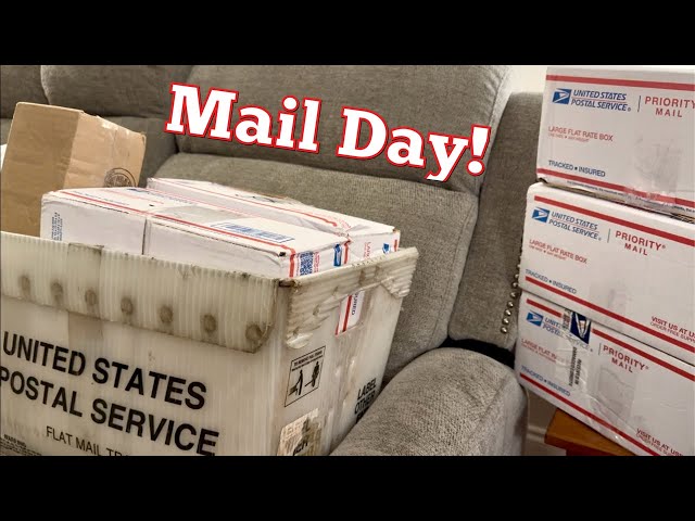 MYSTERY BOXES FROM EBAY AND WHATNOT!  