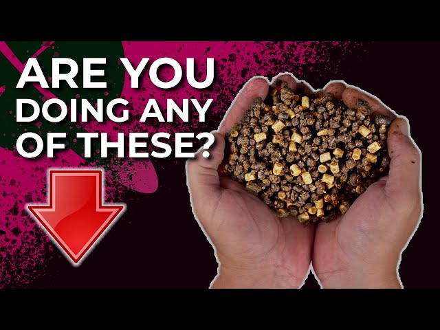 5 WAYS TO CATCH MORE CARP WITH THESE PELLET HACKS 🔥