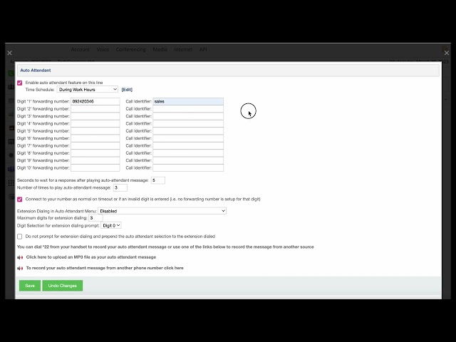 Auto Attendant (IVR) User Guide