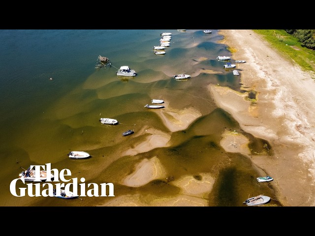 Record low water levels across Europe reveal mammoth skeletons and forgotten shipwrecks
