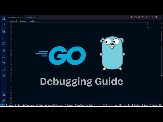 Ultimate guide to debugging go lang with vscode debugger