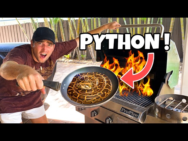 PAN FRIED PYTHON ! Catch & Cook !