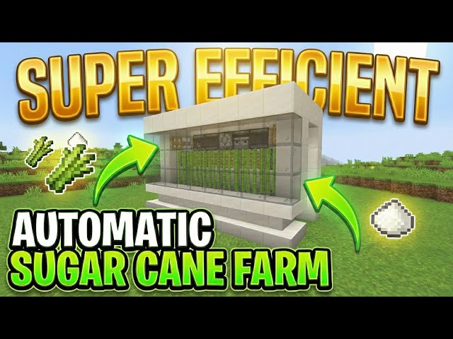 Easiest Automatic Sugar Cane Farm Tutorial! (Minecraft 1.21.10+)