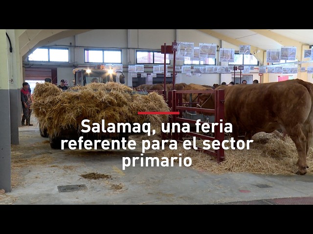 Salamaq 2026: La feria ganadera 'Champions League' del sur de Europa estrena instalaciones