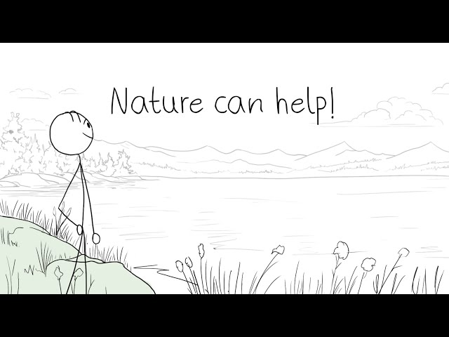 What are nature-based solutions?