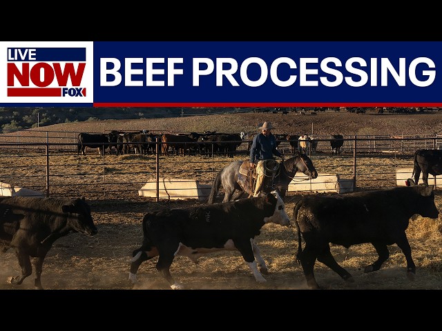 Trump looks to ease beef processing regulations in U.S. after imports backlash