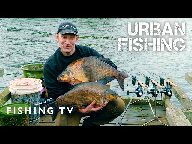 Catching Monster Bream in London | Urban Fishing