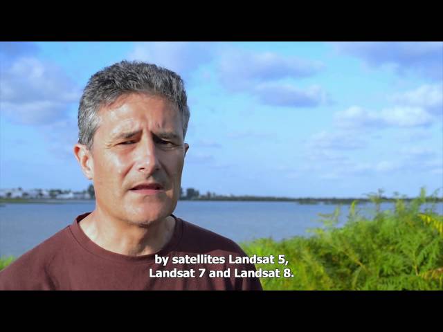Inundación de las Marismas del Guadalquivir (ICTS-RBD / EBD-CSIC)
