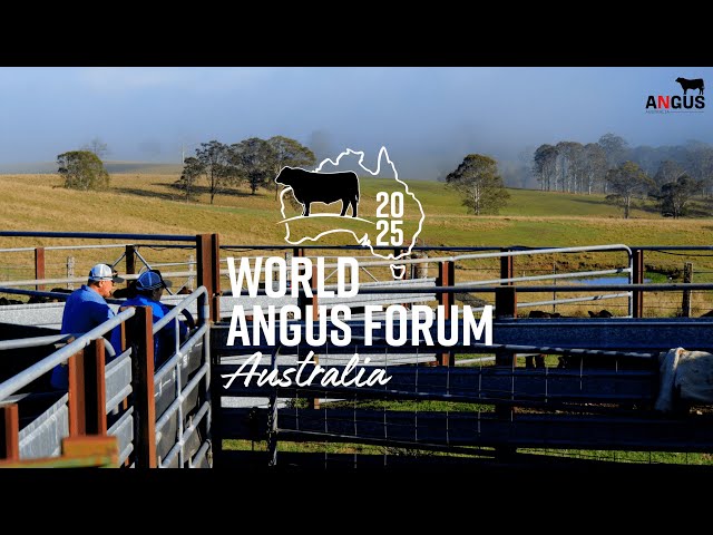 The 2025 Neogen World Angus Forum is coming!