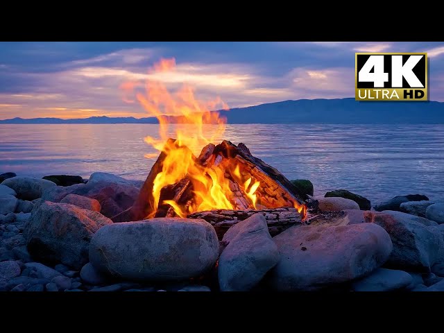 Warm Lakeside Campfire: Evening Relaxation Ambience