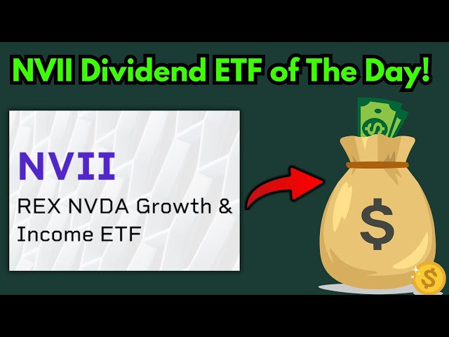 NVII ETF Wins Top Dividend ETF Pick Of The Day!