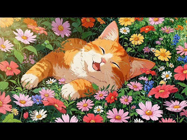 The Happiness Of Spring Morning 🏵️ Morning Lofi To Put You In A Better Mood 🏵️ Lofi Spring Vibes