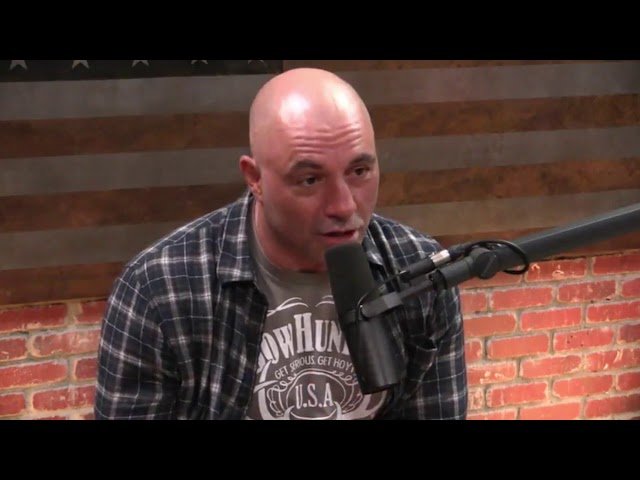 Joe Rogan on Ego Death