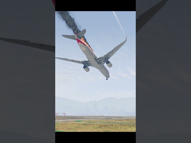 pilot saved huge Airplane after mid air collision