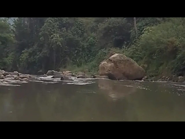 Mancing bareng@mancing mania