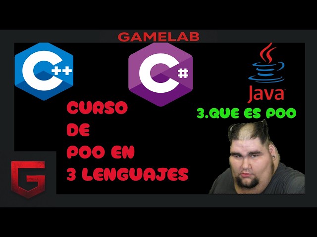 3.Que es la POO