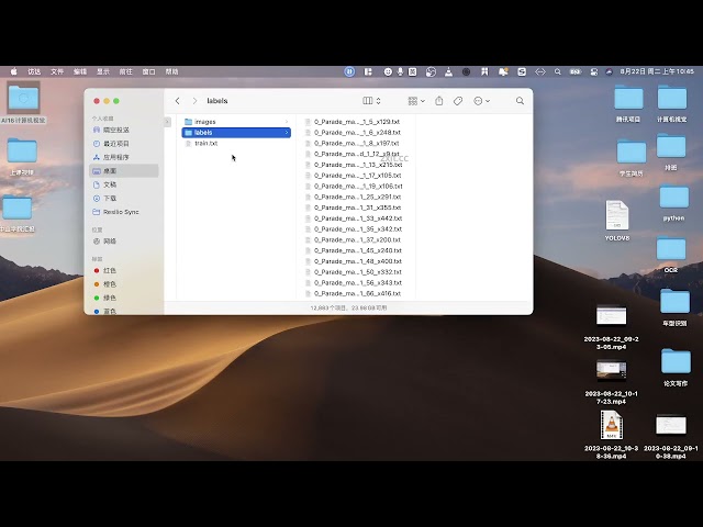2025年黑马程序员python人工智能开发 阶段013  亿图人脸支付项目 01 人脸检测 04 验证数据集 ev