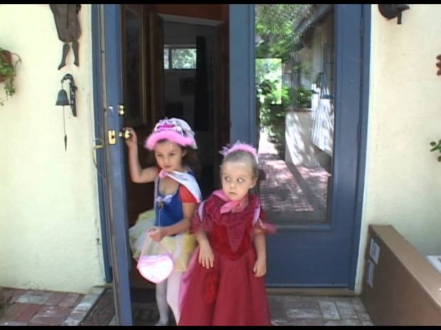The Princess Detectives