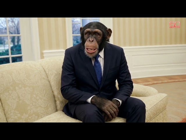 "60 SECONDS" - Trump's Ballroom Q&A (SATIRE)