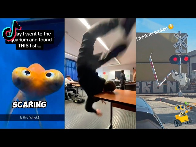 Random videos I watch at 2 a.m. #4