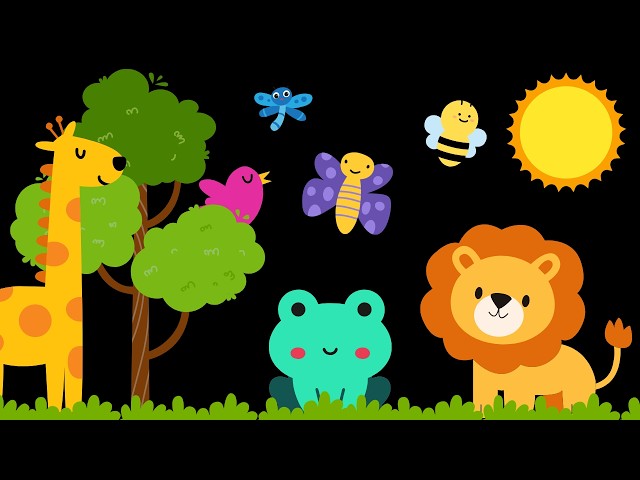 Baby Sensory Video - High contrast - Sensory Videos for Babies - Visual Stimulation for Newborn
