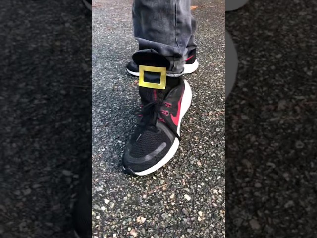 1 2 buckle my shoe 3 4 buckle some more