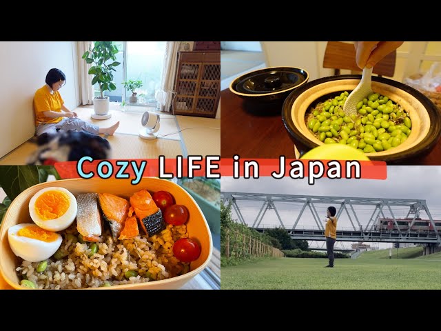 Cozy LIFE in Japan 🇯🇵 | A Day Alone, Chasing Our Dream & Making My Partner’s Bento