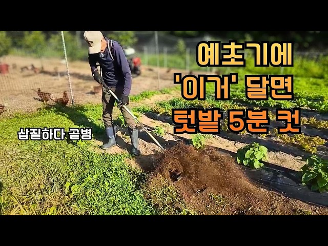 이제 텃밭 만들 때 제발 삽질 좀 하지 마세요! 예초기에 '이거' 달면 순식간에 옥토 됩니다