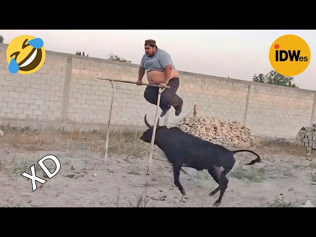 VIDEOS DE RISA 😎 SI TE RÍES PIERDES NIVEL DIOS #475 🤣 HUMOR VIRAL MEXICANO🤣