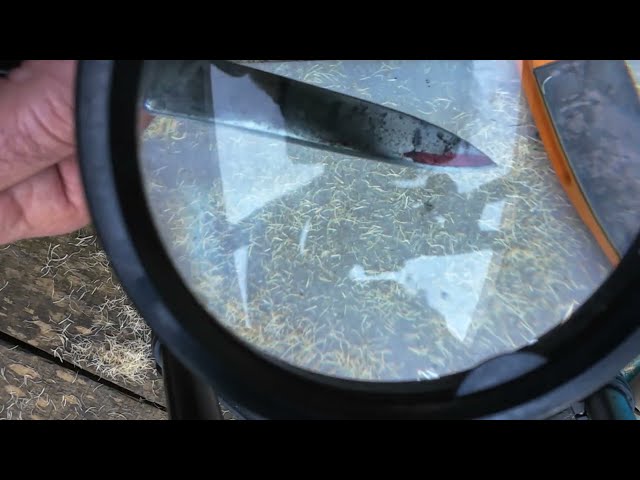 Mercator / Svord vs Japanese AUS10 Allhone Skoner sharpened on ALLHone twin grit