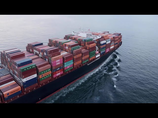 Ocean Freight Auditing Services in Australia: Reduce Billing Errors & Recover Costs