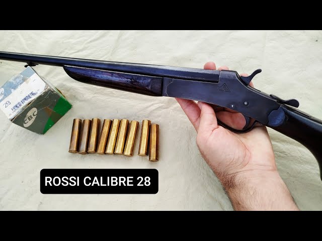 Amadeo Rossi Shotgun, Caliber 28, Grouping Test