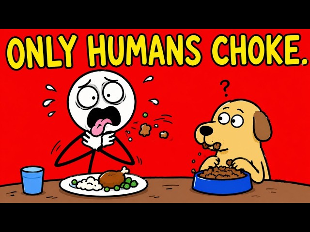 Why Humans Are The Only Animals That Can Choke on Food?