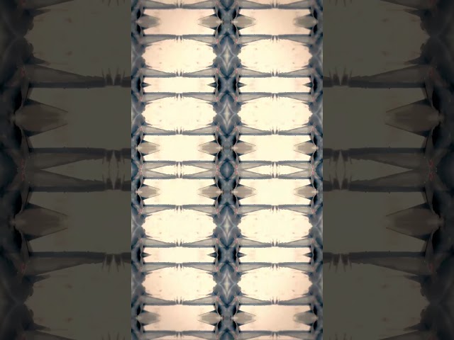 How a Witness Cracked a 40-Year-Old Cold Case