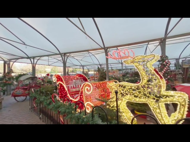 Christmas lights 180 degree for VR180 with YT metadata injected