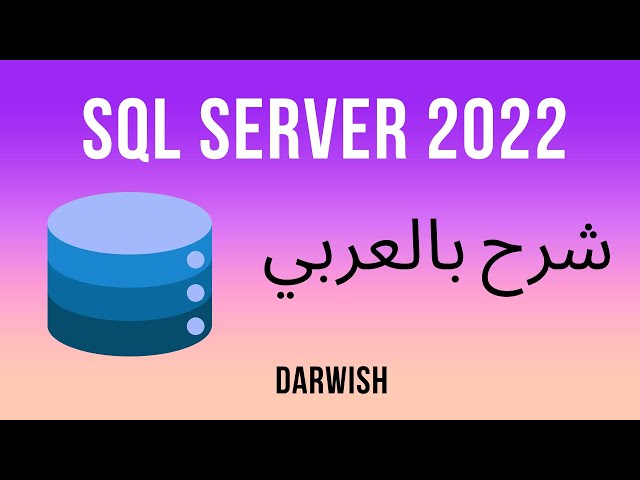 SQL Server Combining Queries with UNION and UNION ALL شرح بالعربي
