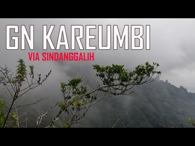 SOLO HIKING GUNUNG KAREUMBI VIA SINDANGGALIH | Punggungan Naga & Tanjakan Kaki Bergetar!