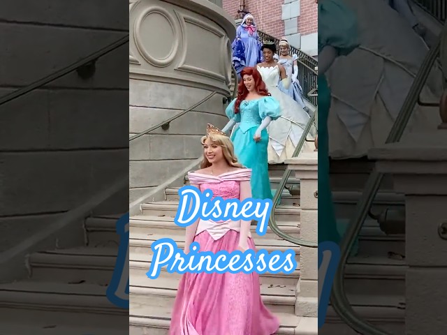 8 Magical Disney Princess Moment!