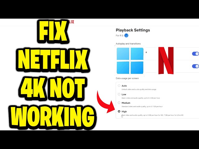 How To Fix Netflix 4K Not Working (Quick Guide)