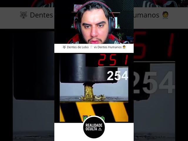 Which tooth can withstand more pressure?