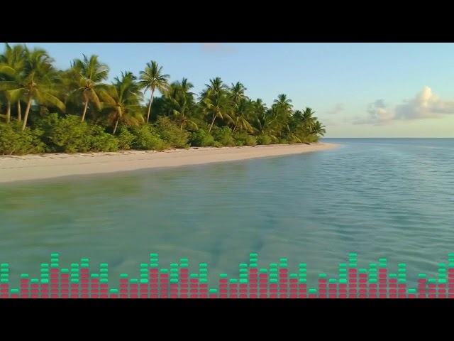 Nonstop Reggaeton Party Mix 2026 🌙 Latin EDM & Pop Latino Vibes