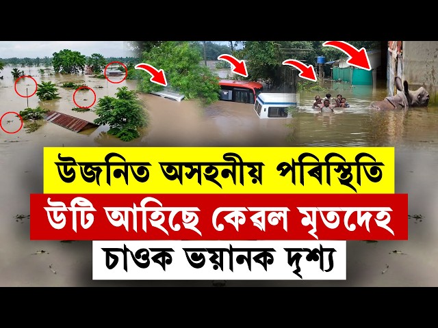 #LIVE | Upper Assam Flood: উজনিত অসহনীয় পৰিস্থিতি! উটি আহিছে কেৱল মৃতদেহ। চাওক ভয়ানক দৃশ্য।