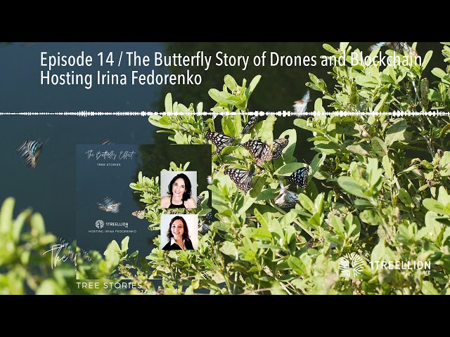 Episode 14   The Butterfly Story of Drones and Blockchain Hosting Irina Fedorenko